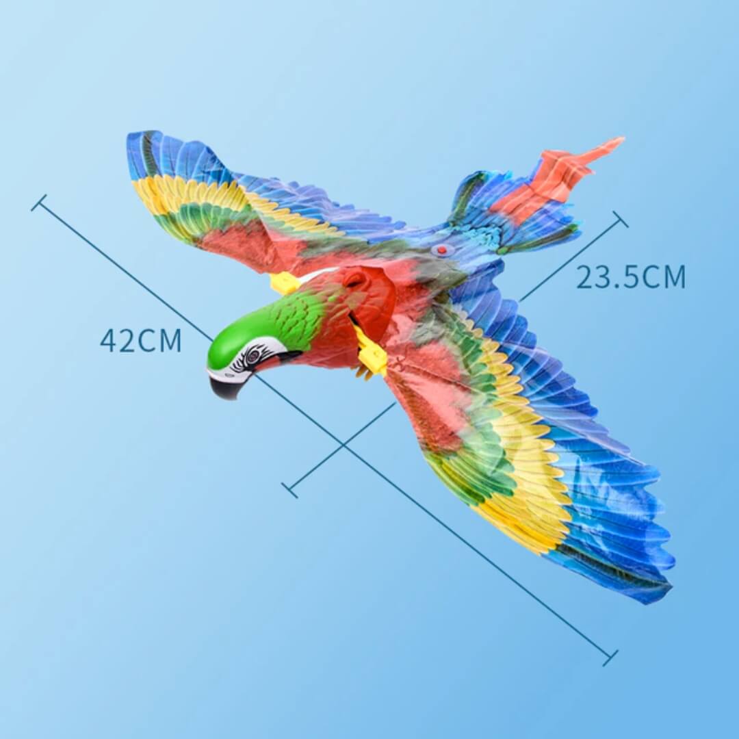 Oiseau Battant des Ailes