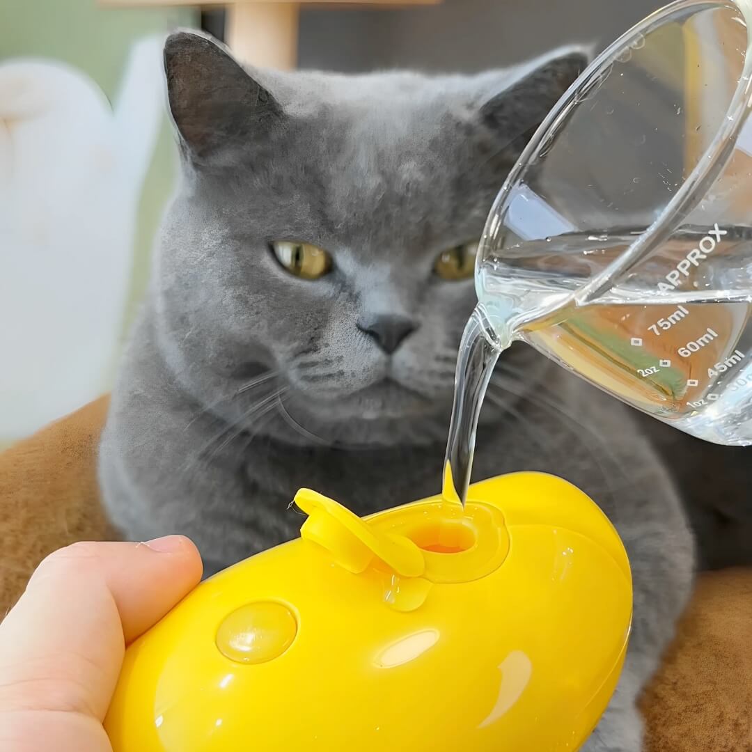 KittySpa™ - Brosse à Vapeur pour Chats