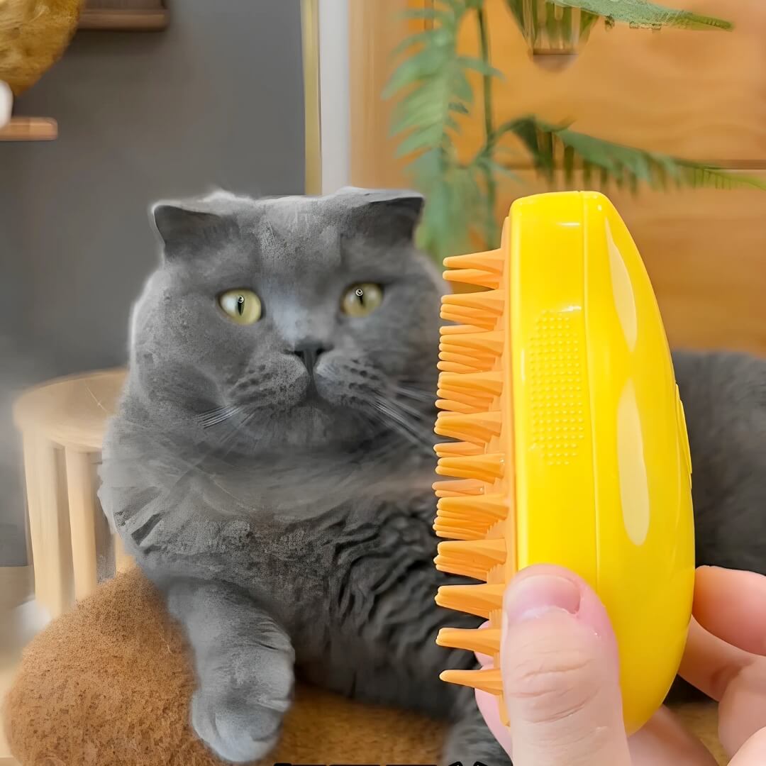 KittySpa™ - Brosse à Vapeur pour Chats