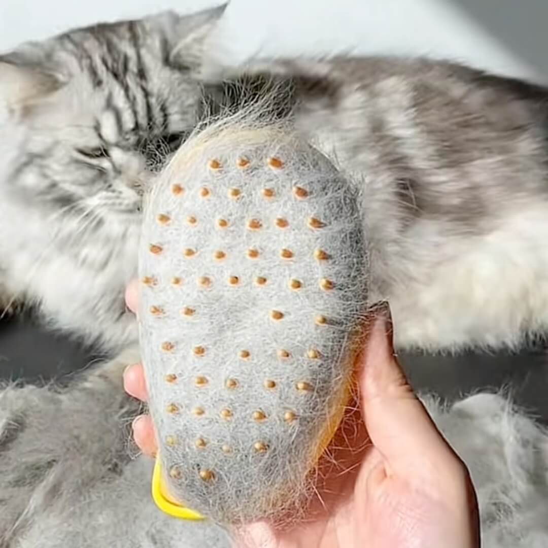 KittySpa™ - Brosse à Vapeur pour Chats