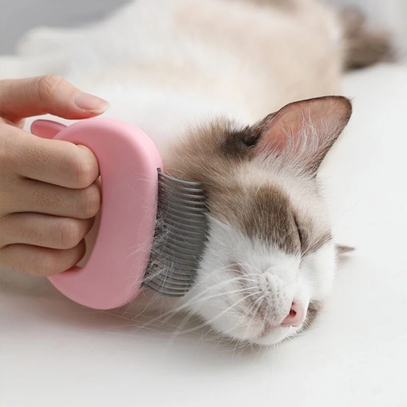 Brosse de Massage pour Chats