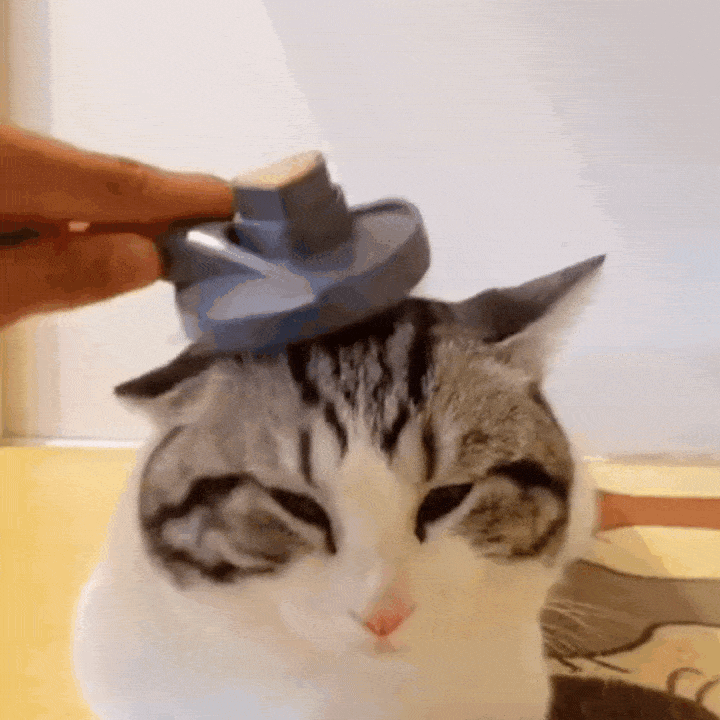 Fur Magnet™ Brosse Auto-Nettoyante pour Chats