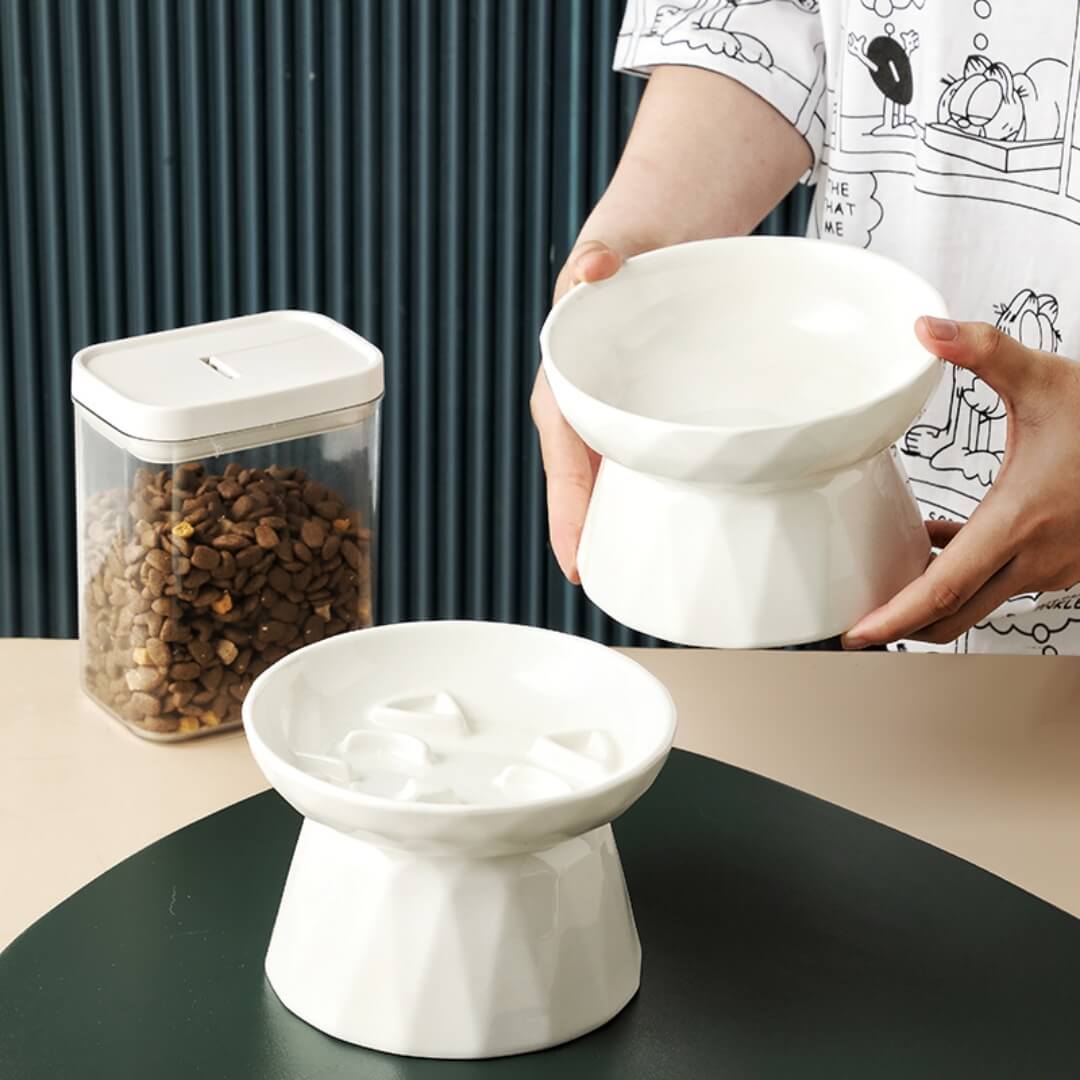 Bol à Chat Anti-Fatigue des Moustaches avec Ralentisseur